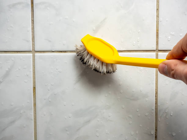 Best Emergency Mold Remediation in North Bend, NE