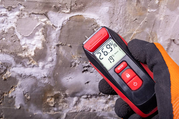 Best Crawl Space Mold Remediation in North Bend, NE